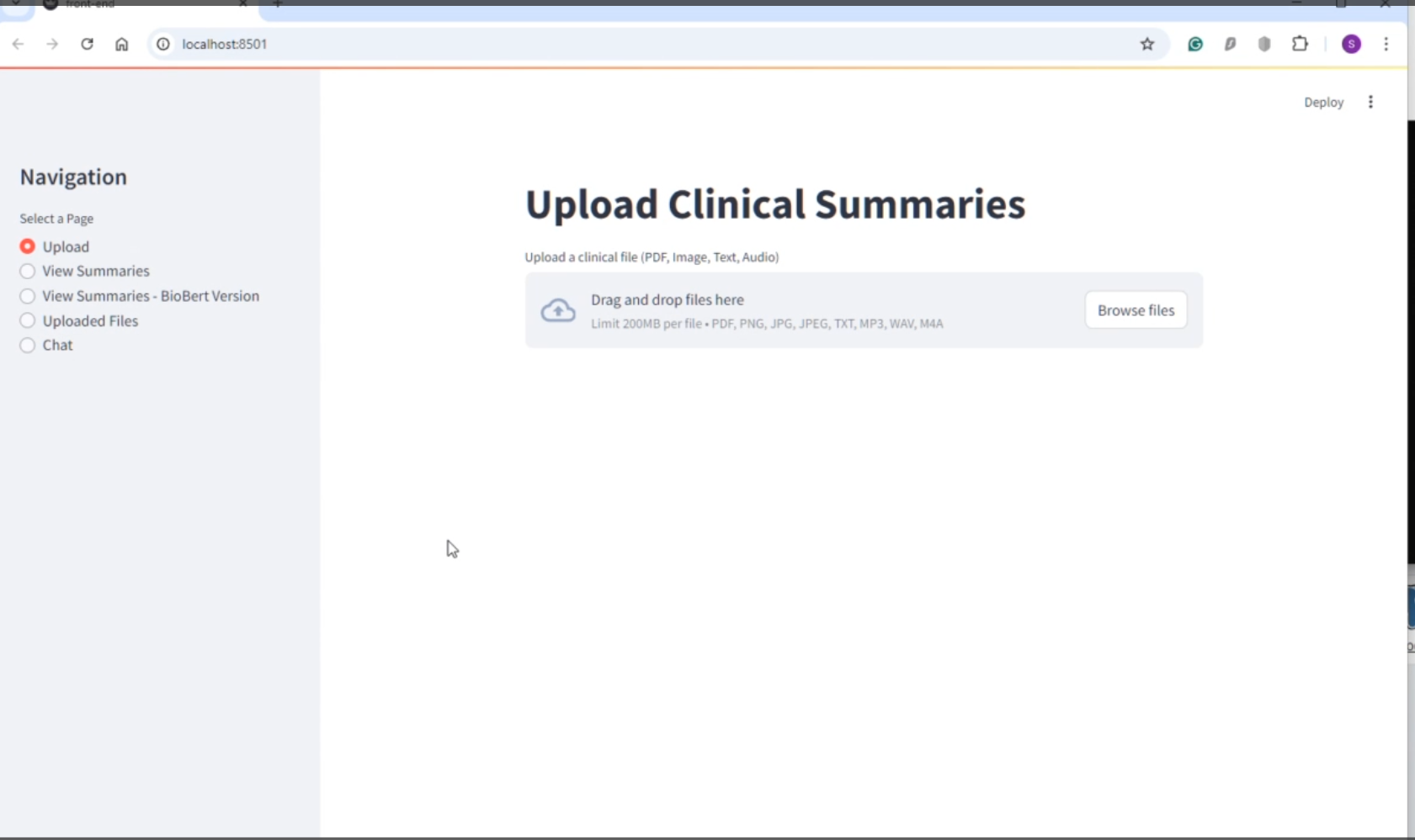 Clinical Summarization placeholder
